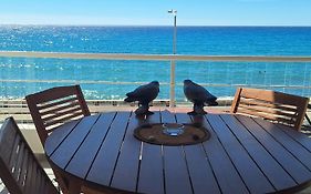 Splendide studio front de mer